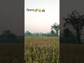 #kisan #motivation #farmer 🌽🌽🚜