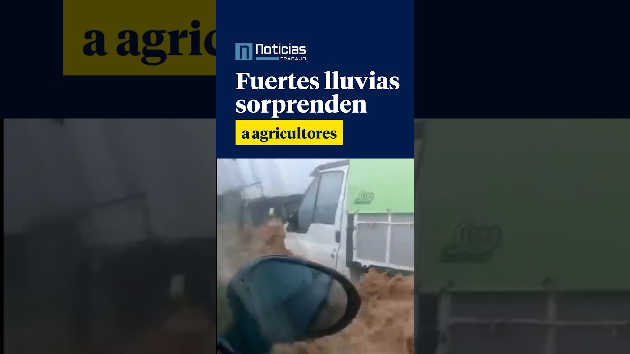 🔴 ÚLTIMA HORA | Fuertes Lluvias Sorprenden a Agricultores en Almería
