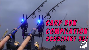 Carp Run COMPILATION 2022! PART 53!