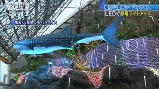 LEDで節電ライトアップ　八景島シーパラダイス（12/07/15)