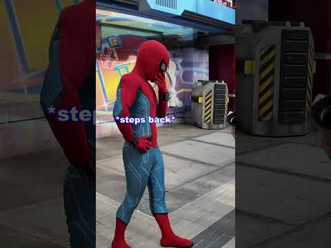 スパイダーマンにラグを贈る 