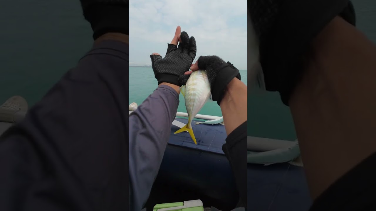 ลงเรือตกปลาทะเลที่ศรีราชา#fishing #ตกปลาทะเล #หมายตกปลาทะเล #ตกปลาชลบุรี #ตกปลาศรีราชา