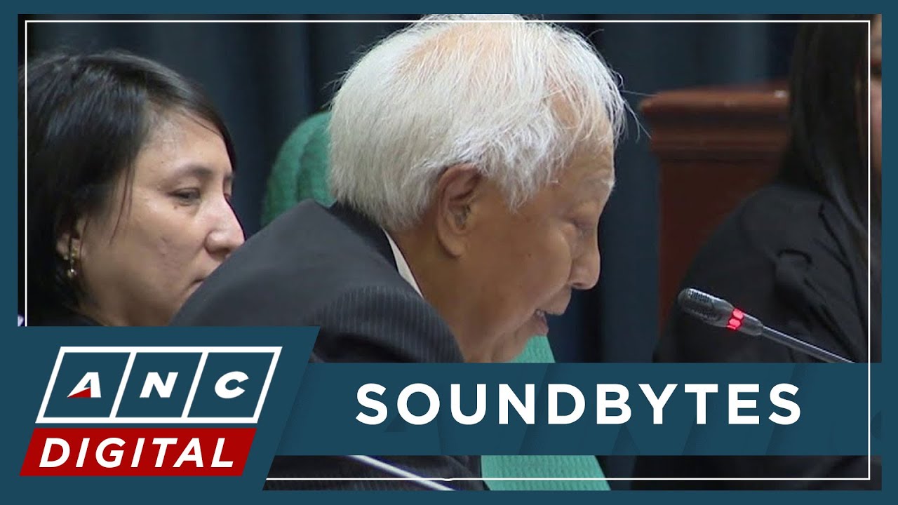Monsod Why did Constitution framers leave anti-dynasty measure to Congress ...