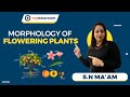 Morphology of Flowering Plants - IV | S.N. Ma&#39;am | NEET | myclassroom