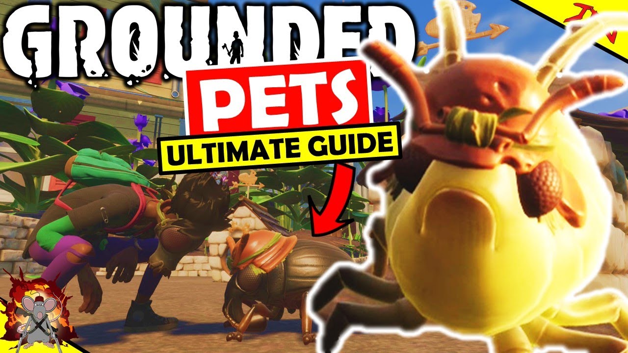 26 how to get pets in grounded Quick Guide 26 how to get pets in grounded Quick Guide