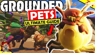 GROUNDED ULTIMATE GUIDE TO PETS! Update! Pet Perks! How To Craft Food And Pet Cosmetics! Pet Gnats!
