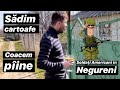 Emilian Crețu / SĂDIM CARTOAFE / SOLDAȚII AMERICANI IN NEGURENI