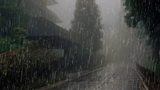 Sonido de Lluvia y Truenos para Dormir Profundamente - Lluvia Relajante en Bosque Brumoso