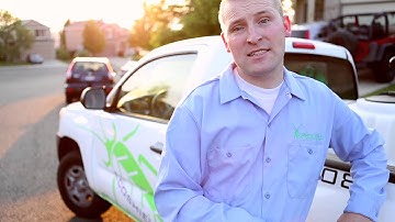 Daniel Sharing Experience of Working With Ecoshield