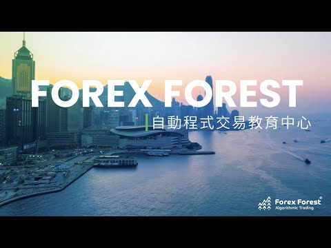 Forex Forest 全球最佳EA | Algo trade 量化交易、自動程式交易 MT4 是什麼？