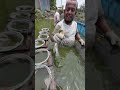 সময় বাস্তবতাকে তৈরি করে 😊 Big Size's Tilapia Fish 🐟 #trending #bdfish #fishing #shorts