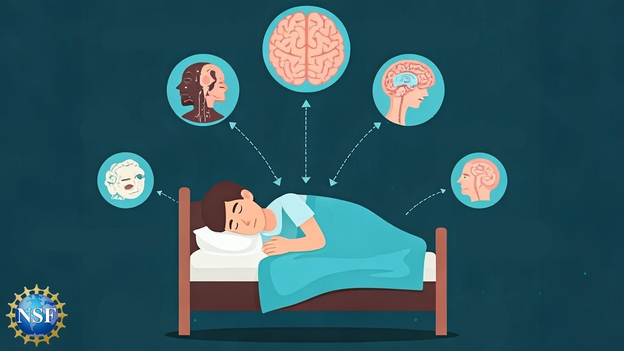 Sleep And Sleep Stages Introduction To Psychology