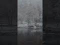 Snowfall in Arashiyama, Kyoto #shorts #kyoto #kyototrip #snow #snowfall #asmr #asmrsounds #voyage