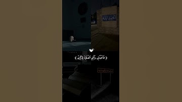 #الجزائر #قرآن #عبدالرحمن_مسعد #اسلام_صبحي #تلاوات #خشوع #تلاوة_خاشعة #قسنطينه #باتنة #وهران #تلمسان