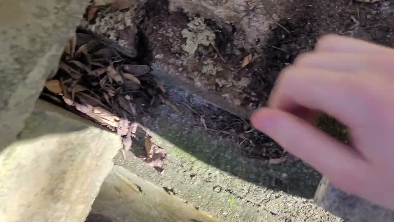 #38 Cache Hidden Under Concrete Stairs