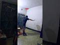 skating stunt don't try without any training #skating #skills #skater #skateboarding #shortsfeed