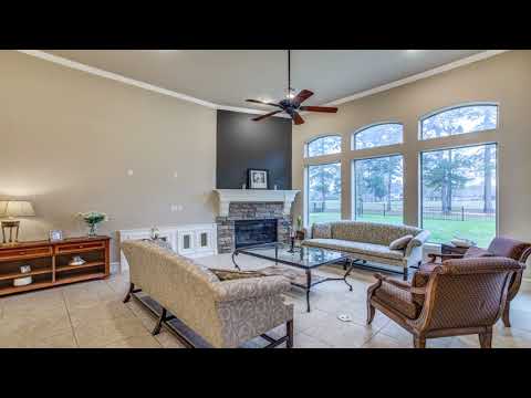 20612 Eagle Wood Trace Drive, Porter, TX home video tour