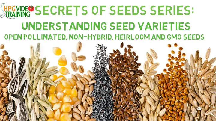 Understanding Seed Varieties - Secrets of Seeds Se...