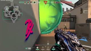 Viper Bind VOD 30.03.26