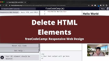 Delete HTML Elements (Basic HTML and HTML5) freeCodeCamp Tutorial