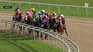 Vidéo de la course PMU PRIX DE LA POMMERAIE