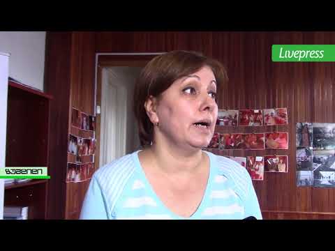 ყოფილი ბიბლიოთეკარის ბრალდებები