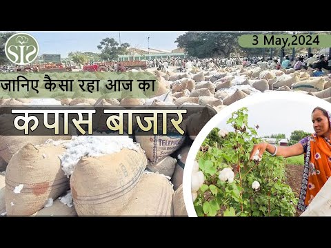 3 मई 2024 का सम्पूर्ण भारत का कॉटन बाजार भाव🤓 aaj ka kapas bajar bhav🤓 cotton market rate today