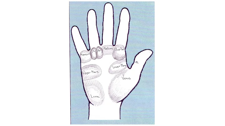 7 Mounts of the Hand | Palm Reading