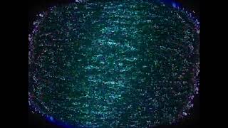 A 3 - Til Min Kat Milla