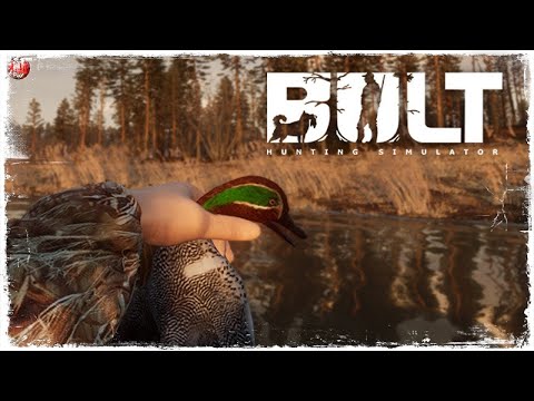 Превью видео игры