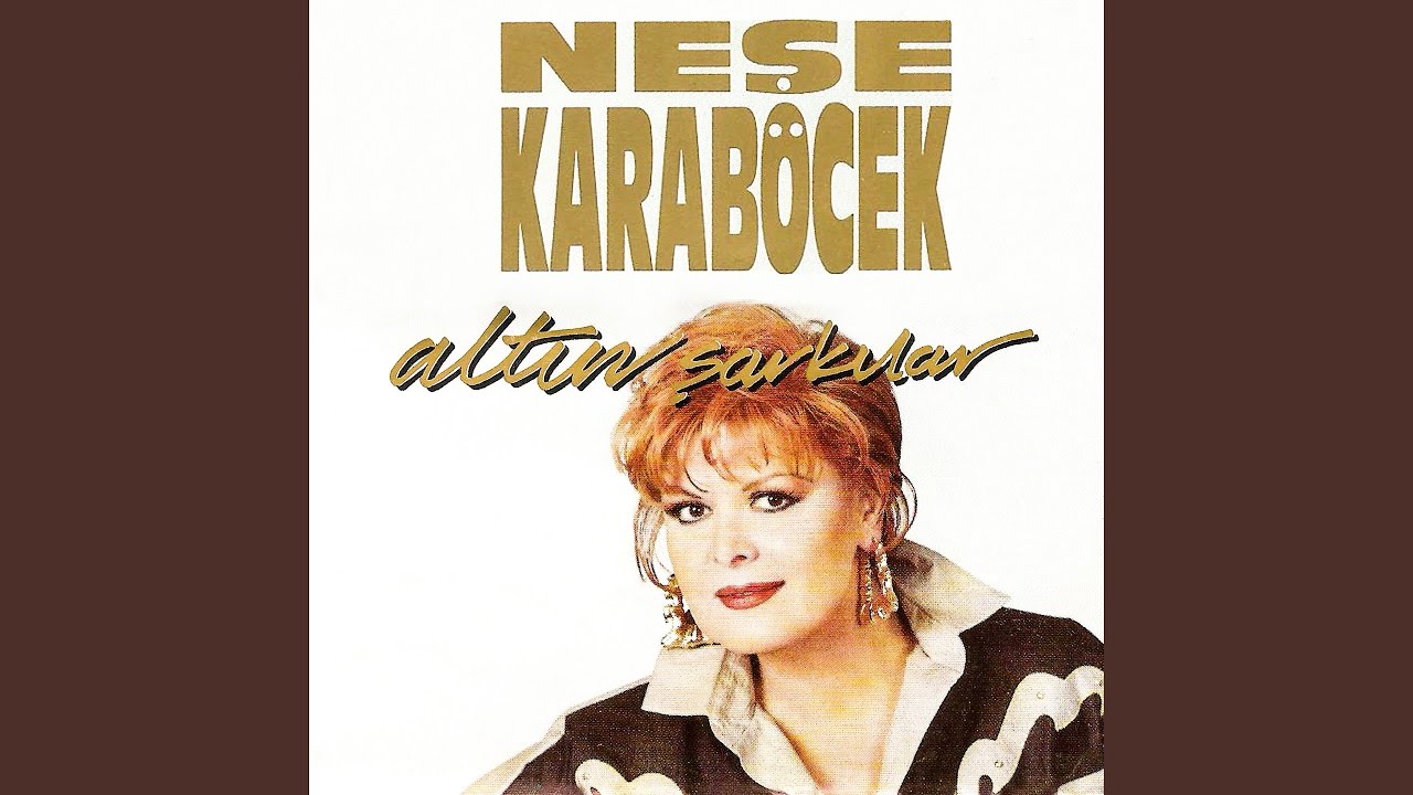 Artık Sevmeyeceğim