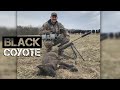 Black Coyote!!! - Coyote Hunting