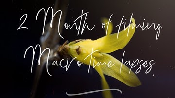 The Best Macro Time Lapse you