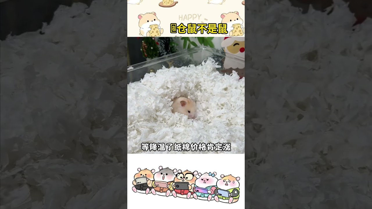 The hamster is so cold that it hides in its nest Before the cool autumn comes be sure to s