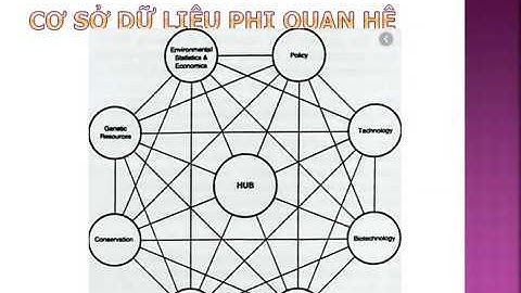 Sự khác nhau giữa SQL và NoSQL? Cái nào quan trọng hơn?