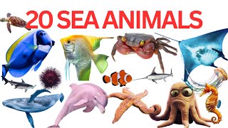 20 Sea Animals Name For Kids| Learn Sea Animals Name With Fun Facts | Water Animals |