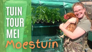 Tuin Tour Mei Hoe Ziet De Moestuin Er Nu Uit? Groenten Tuin In Mei.