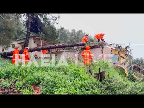 ilialive.gr - Δέντρο καταπλάκωσε σπίτι στο βουνό του Κατακόλου