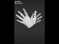 ياملاكي روح حياتي فيدكي  
