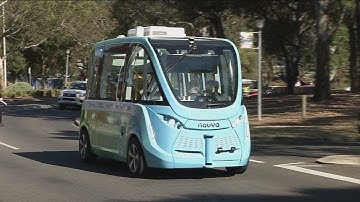 Autonobus InfoVid
