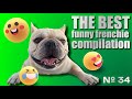 French Bulldogs Funny Moments &amp; Fails Compilation #35
