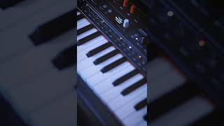 One Sequence. Endless Evolution.