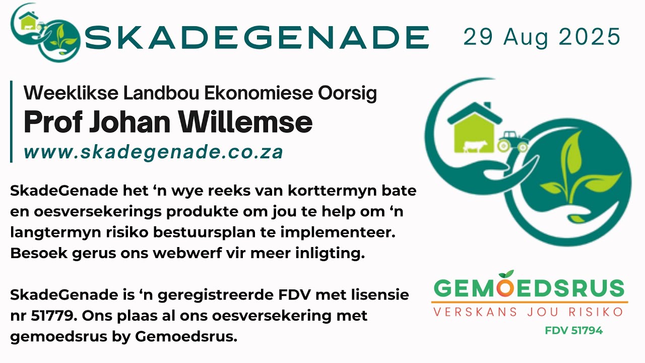 Weeklikse Oorsig 29 Aug 2025