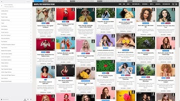 Customizer Theme Options - MagPal PRO WordPress Theme