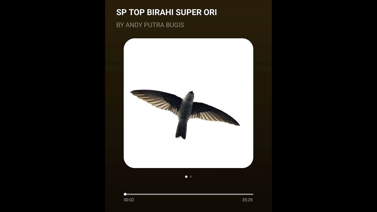 SP TOP BIRAHI SUPER FREE FOR YOU ALL INSYA ALLAH BERKAH BUAT SEMUA