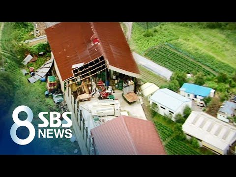 초속 50m 강풍 앞 &amp;#39;농가 속수무책&amp;#39;…도심 <strong>주택도</strong> 폭삭 / SBS