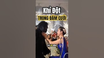 Khỉ đột trong đám cưới