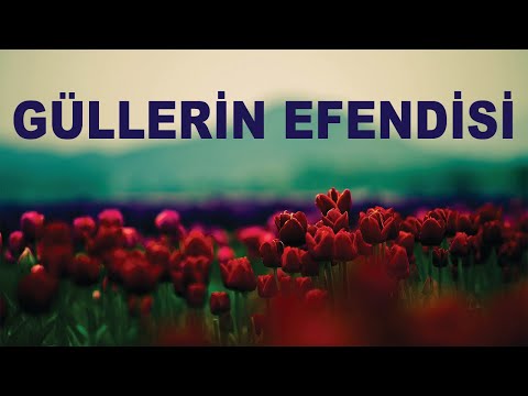 Gönlüm Yok Dünya Zevkine - Benim  Aşkım Can Muhammede - Yürekleri Yakan İlahiler - (Veysel Ekinci)