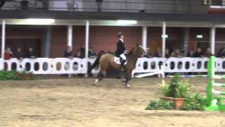 The Galway Blazer grand prix Pony owners Millstreet 2013