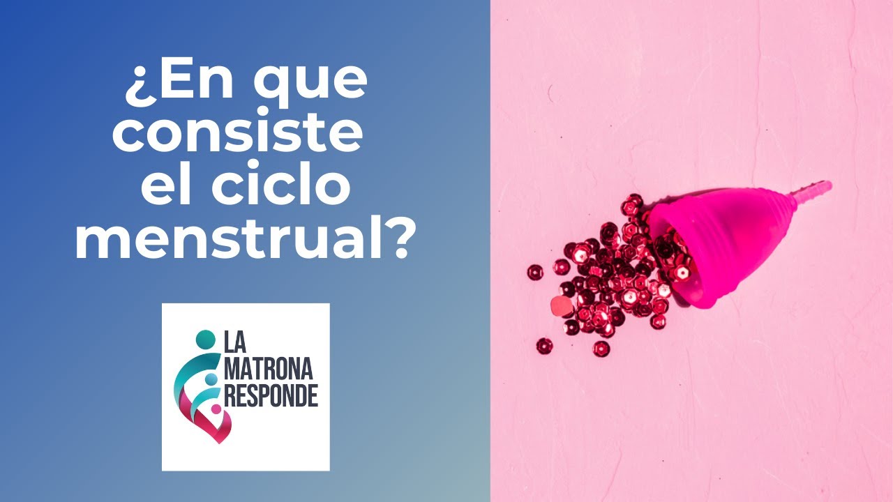 ¿EN QUÉ CONSISTE EL CICLO MENSTRUAL?